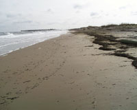 ocean beach